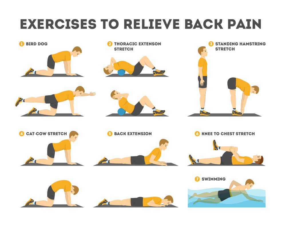 Printable Lower Back Pain Exercises